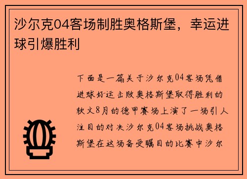 沙尔克04客场制胜奥格斯堡，幸运进球引爆胜利